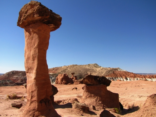 Toadstool and other Hoodoos