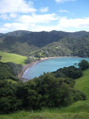 12. Blick auf Whale Bay Station, Bay of Islands