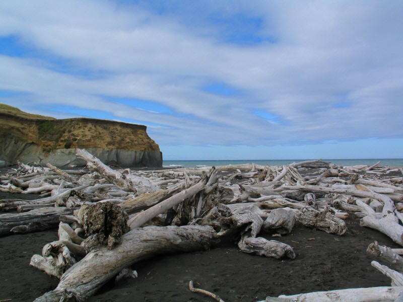 Kai Iwi Beach