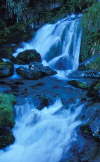 17. Routeburn Track: Waterfall Beside The Track