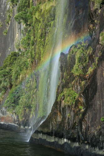 33. Fairy Falls mit Regenbogen, Milford Sound