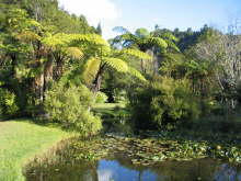 Rapaura Water Gardens
