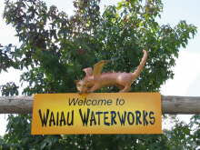 Waiau Waterworks